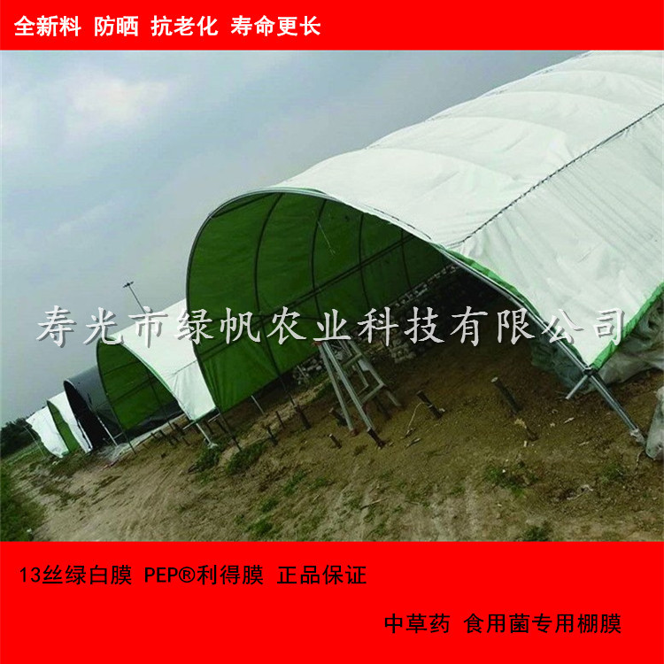 食用菌大棚13丝pep绿白膜 PEP利得膜 散射光膜  香菇种植专用利得膜