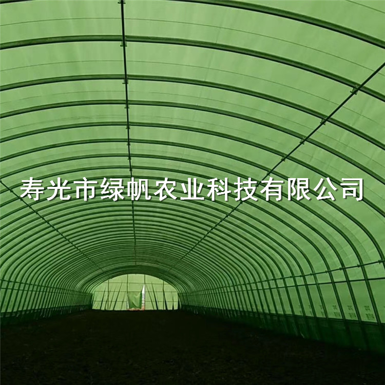 食用菌大棚13丝pep绿白膜 PEP利得膜 散射光膜  香菇种植专用利得膜