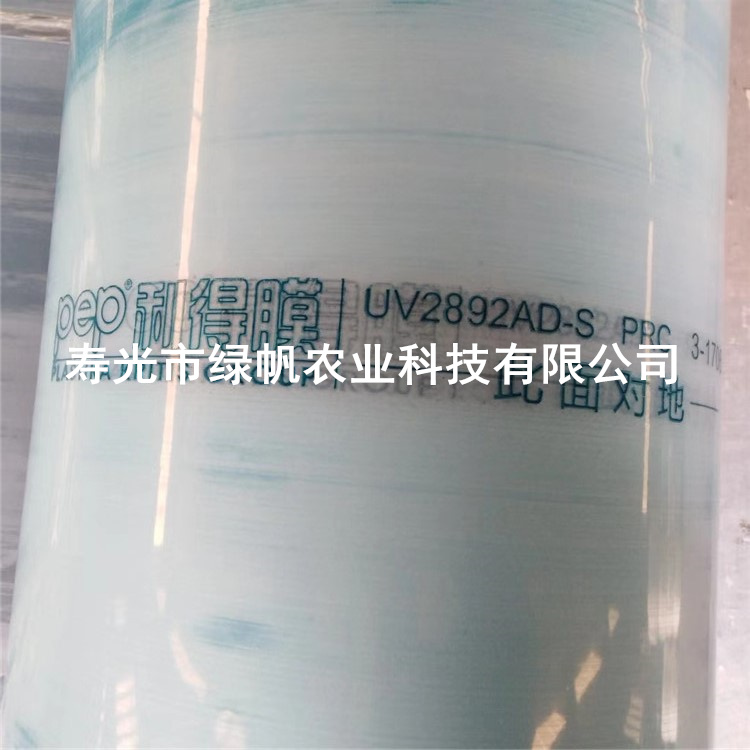 UV2692AD（12丝）PEP透明膜  拱棚连栋专用膜  12丝PEP膜  10丝PEP透明膜  15丝PEP透明膜
