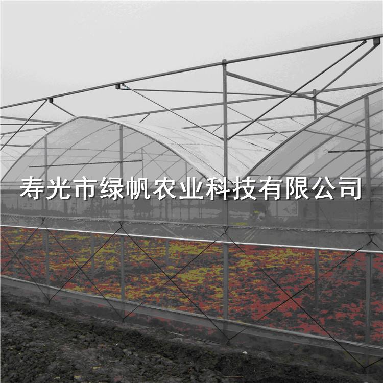 UV2692AD（12丝）PEP透明膜  拱棚连栋专用膜  12丝PEP膜  10丝PEP透明膜  15丝PEP透明膜