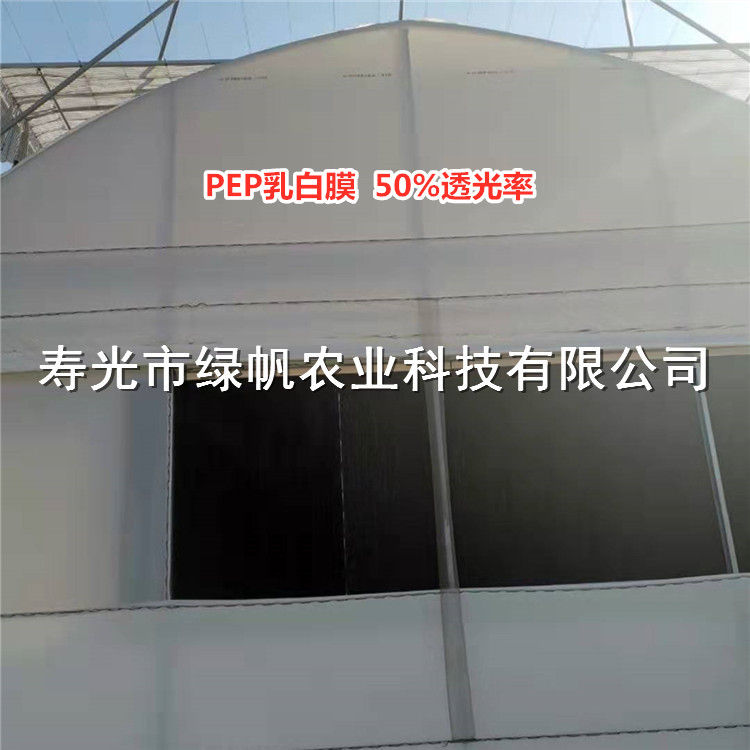 8丝pep利得膜 PEP乳白膜 50%透光率  pep乳白膜