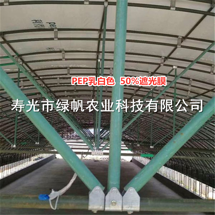 8丝pep利得膜 PEP乳白膜 50%透光率  pep乳白膜
