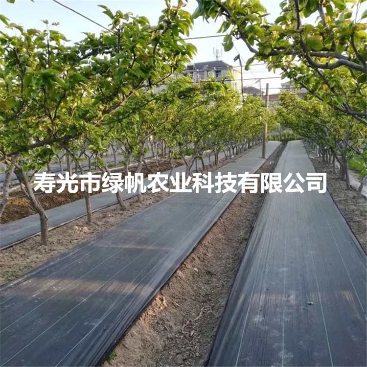 供应园艺地布 果园防草布  除草布 90/100g