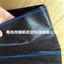 供应园艺地布 果园防草布  除草布 90/100g