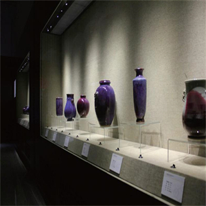 博物馆展示柜沿墙柜背柜通柜设计定制厂家
