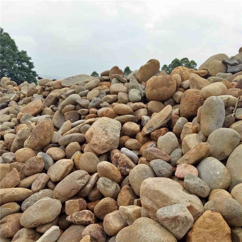 广东鹅卵石铺路、过滤、水池大量供应  天然鹅卵石  园林铺地、景观装饰  铺路、过滤、水池装饰