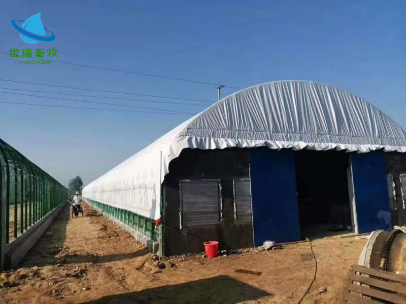 东营养牛大棚建设 养羊棚搭建 养殖棚造价