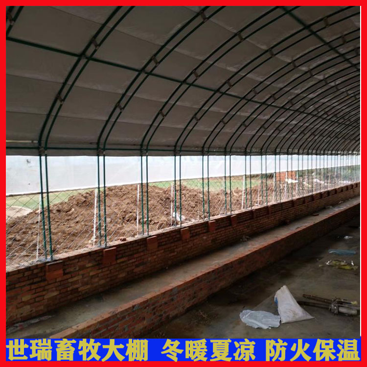 养羊大棚建设图片 养羊棚施工 羊棚建造方法