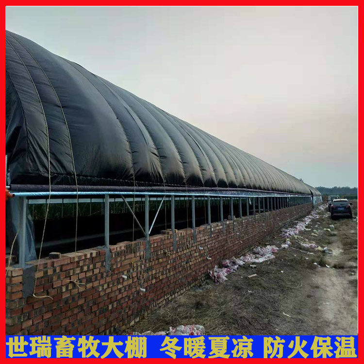 全封闭养鸡大棚搭建 养鸡棚每平米价格 建设鸡棚厂家