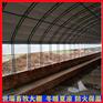养羊大棚建设图片 养羊棚施工 羊棚建造方法
