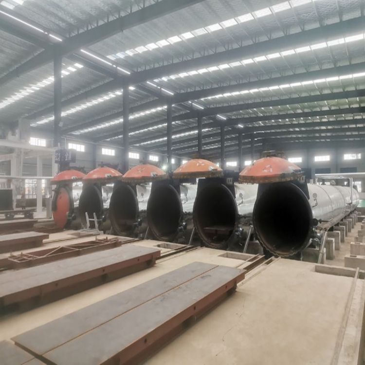 新型全套蒸压砖设备 环保建材蒸压砖生产线  蒸压加气块设备