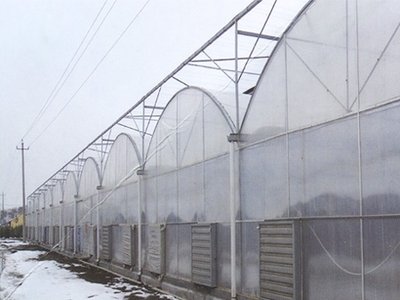 河北连栋薄膜温室大棚  连栋温室大棚建设选址  连栋温室施工标准