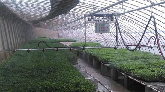 东北蔬菜温室大棚  蔬菜温室大棚安装  光伏蔬菜大棚