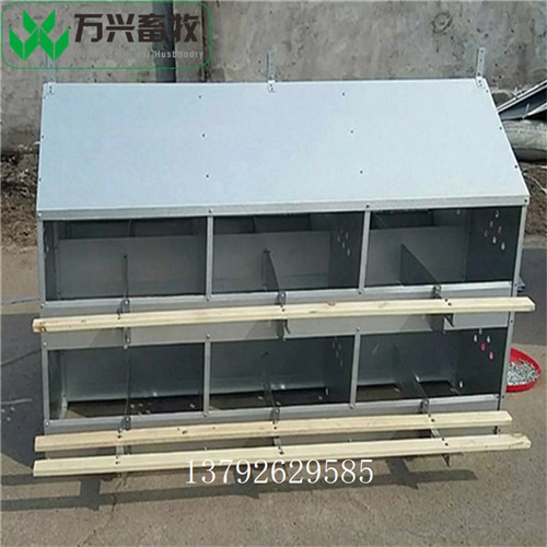 供应万兴畜牧种鸡用产蛋箱 多穴产蛋箱 平养鸡用产蛋箱