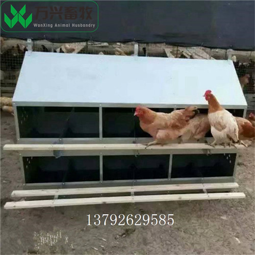 供应万兴畜牧多穴鸡下蛋窝 产蛋箱 鸡舍产蛋箱