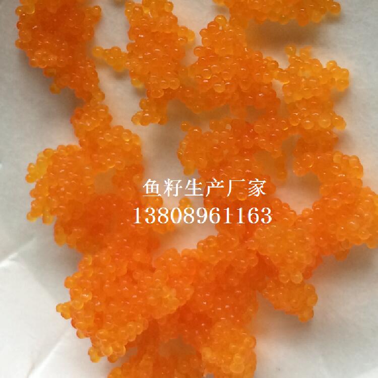 鱼子采购供应  鱼子价格