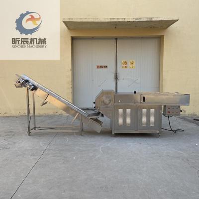 昕辰中小型全自动冻肉破碎机  自动破碎机
