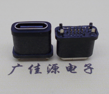 TYPE-C防水母座16P 直立式插板 高10.2  防水TYPE C 母座16P  防水TYPE C 16P立插  防水TYPE C16P立插