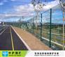 批发滚笼防护网 汕头海关围栏网安装 公路绿色隔离栅