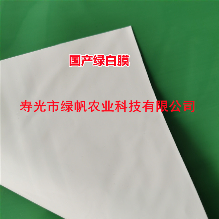 供应12丝国产绿白膜 13丝绿白膜 散射光膜