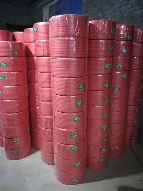 中瑞PP打包带设备