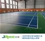 硬地羽毛球场可以用硅PU材料么
