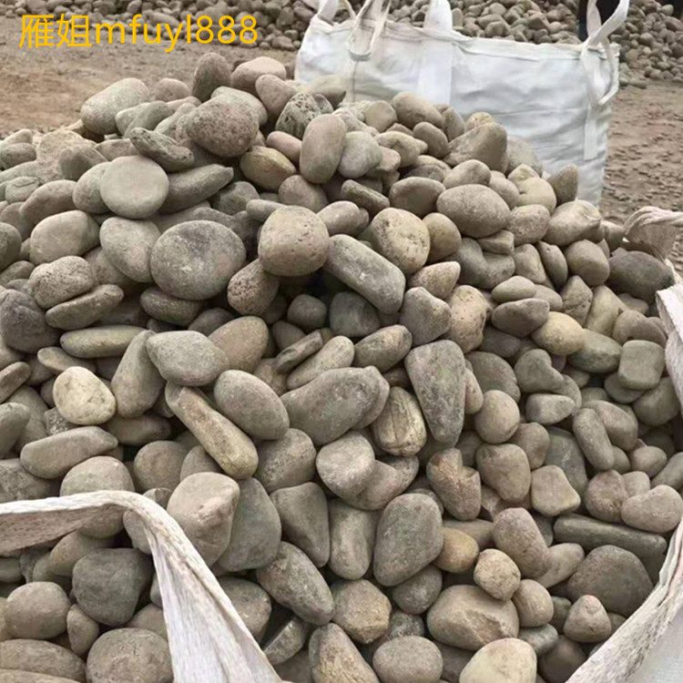 佛山鹅卵石厂家 园林鹅卵石价格 天然鹅卵石铺路