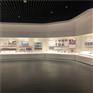 沿墙柜展览柜厂家定制展览柜博物馆展示柜-隆成博具