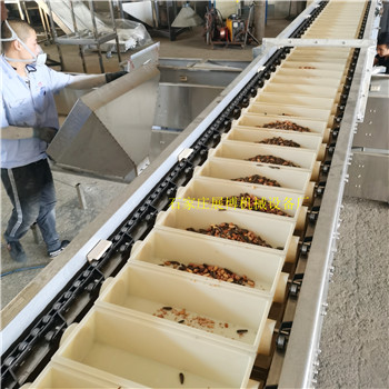 防破碎斗式提升机Z型提升机金属粉末Z型上料机输送机&nbsp;&nbsp;Z型输送机