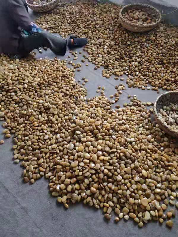 广东大量石材石料 鹅卵石厂家批发 天然鹅卵石的价格  鹅卵石滤水 净水  铺地石鹅卵石  鹅卵石多少一吨