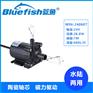 蓝鱼24V直流无刷潜水泵微型抽水泵鱼池假山水循环