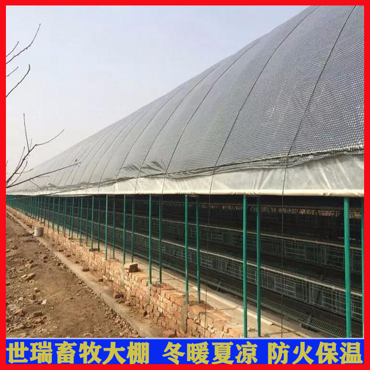 东营养羊大棚搭建 山羊养殖棚建设 绵羊保温大棚安装