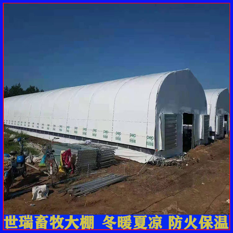 温室大棚安装设计 鸡舍建造厂家 蛋鸡养殖大棚安装
