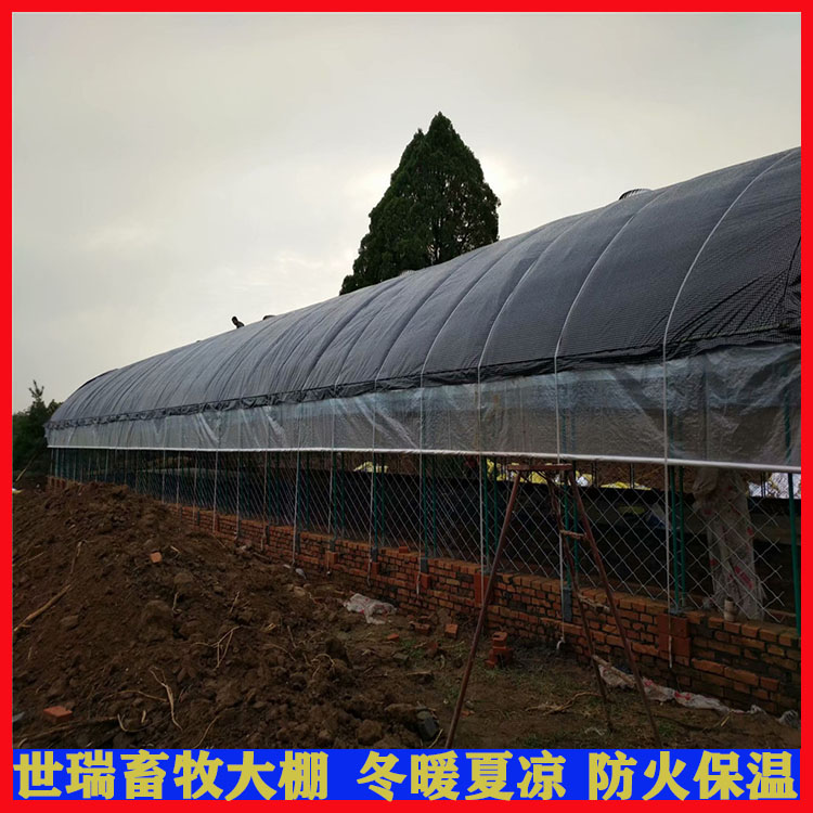安装养牛大棚 养牛场牛舍建设 牛棚施工建设