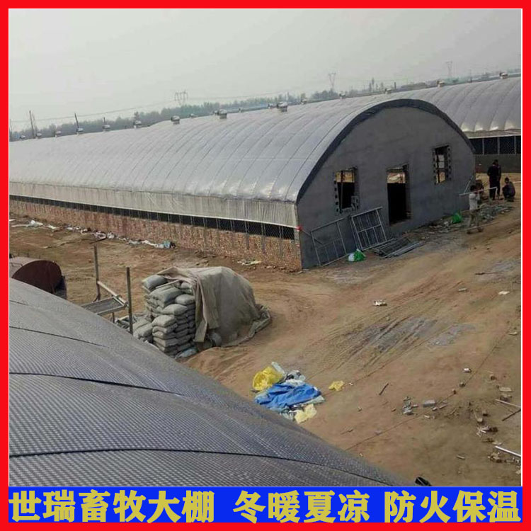 养羊大棚搭建成本 绵羊养殖棚建设 羊棚施工厂家