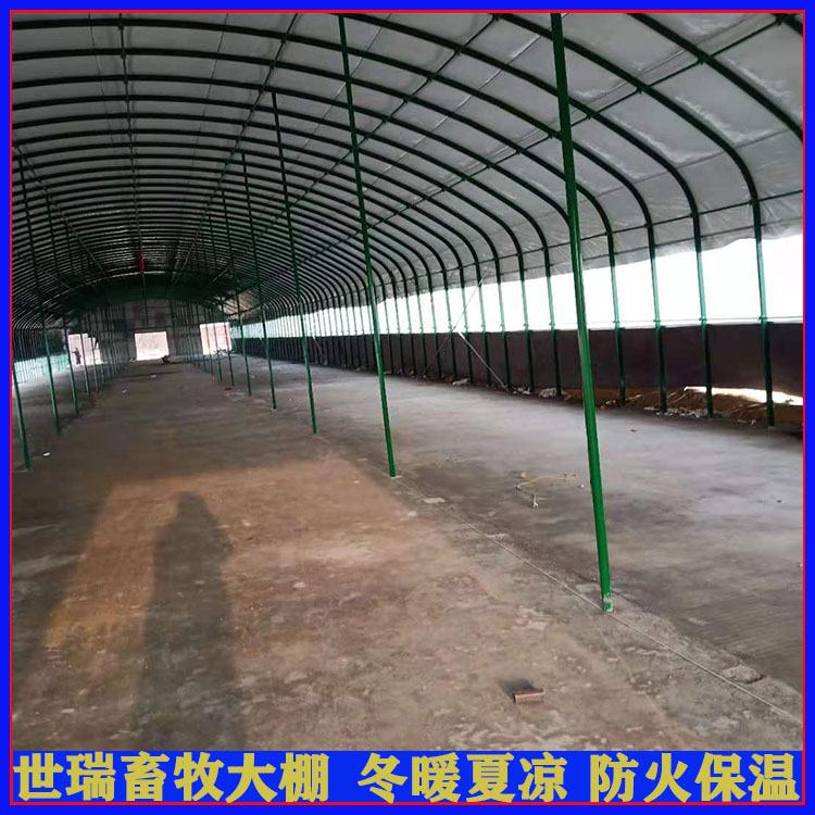 养羊大棚搭建成本 绵羊养殖棚建设 羊棚施工厂家
