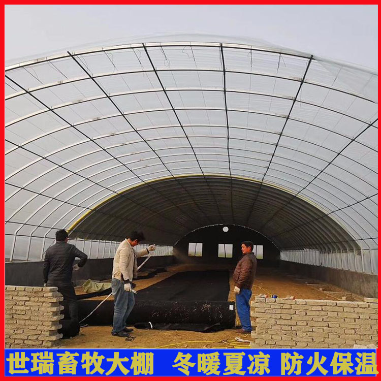 养羊大棚搭建成本 绵羊养殖棚建设 羊棚施工厂家