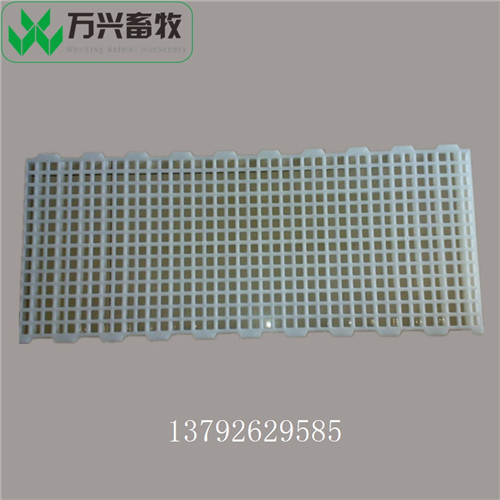 供应万兴畜牧鸡鸭鹅舍漏粪地板 规格1200×500×40  鸡用塑料网片  畜禽漏粪地板