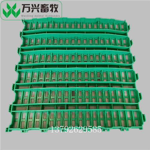 供应万兴畜牧羊舍羊场羊用漏屎板 规格600mm×500mm  羊床用漏粪板  羊床漏粪板安装图