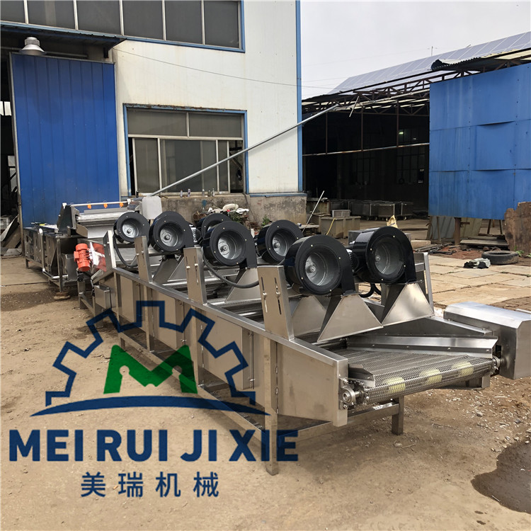 果蔬清洗流水线 全自动蔬菜清洗加工设备  全自动蔬菜清洗设备  菠菜清洗流水线