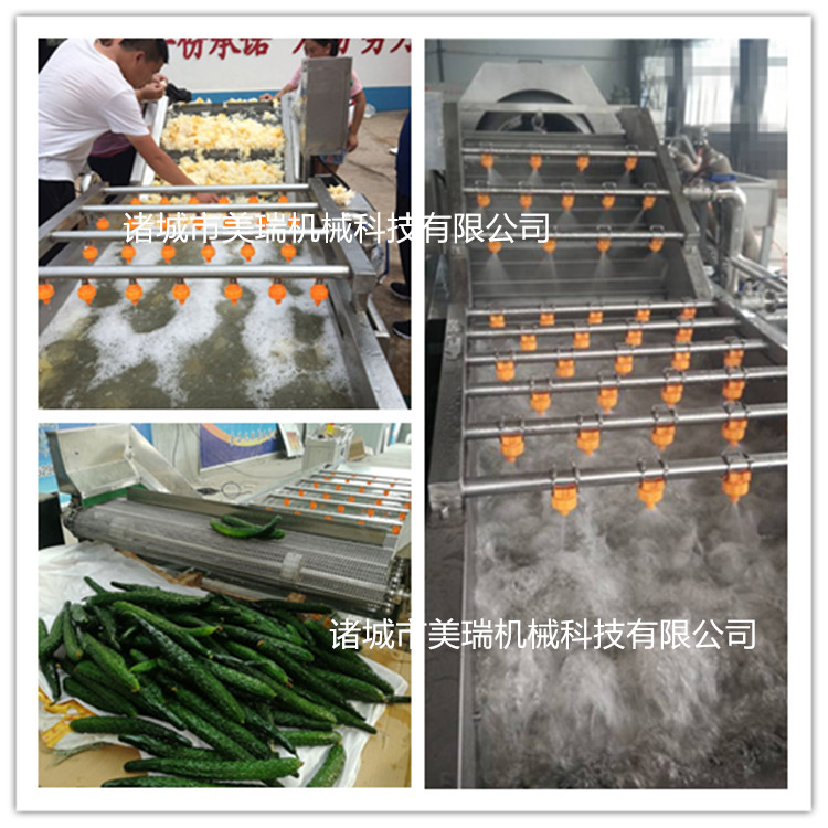 果蔬清洗流水线 全自动蔬菜清洗加工设备  全自动蔬菜清洗设备  菠菜清洗流水线