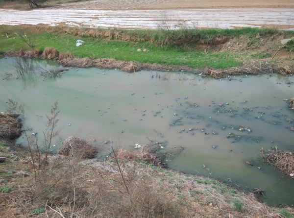 生活污水检测CMA  水质检测  废水检测