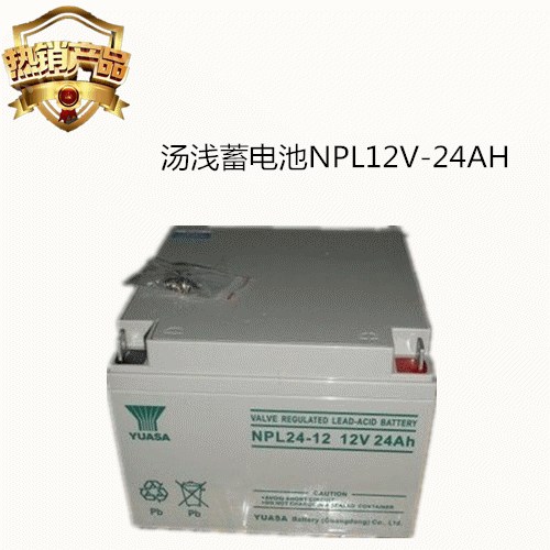 热销汤浅NPL24-12蓄电池12v25AH免维护专用直供&nbsp;&nbsp;汤浅蓄电池&nbsp;&nbsp;12v25ah