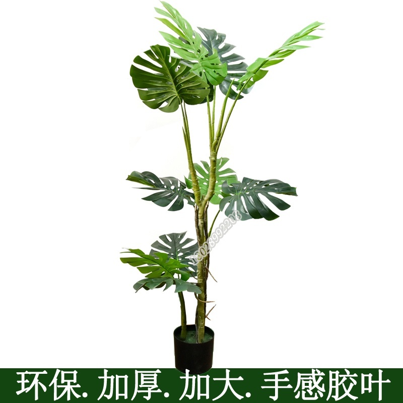 树猫仿真树加大加厚手感胶叶龟背树绿色环保家居装饰  加大加厚叶子