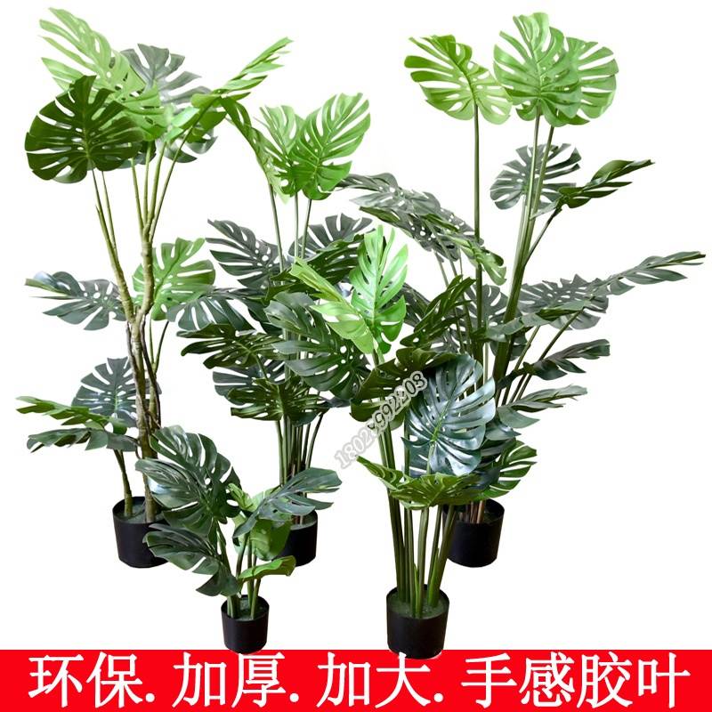 树猫仿真树加大加厚手感胶叶龟背树绿色环保家居装饰  加大加厚叶子