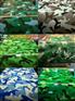 江苏镇江彩钢卷现货供应/彩钢卷最新价格
