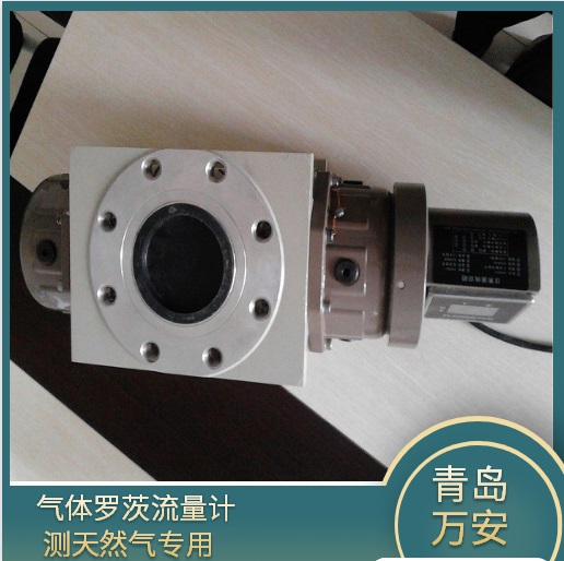 南阳气体罗茨流量计 气体腰轮流量计 天ran气表 罗茨表