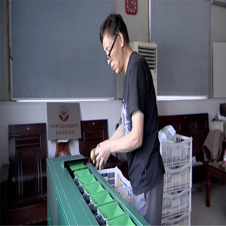 宝鸡徐香猕猴桃分选机   分选速度快  效率高 可搭配去毛  猕猴桃选果机  猕猴桃分拣机