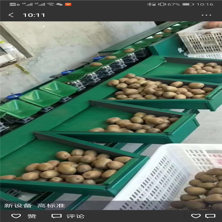 宝鸡徐香猕猴桃分选机   分选速度快  效率高 可搭配去毛  猕猴桃选果机  猕猴桃分拣机