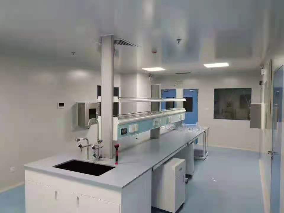 河池实验台-实验台款式新颖-简约实用  河池实验室家具  河池通风柜
